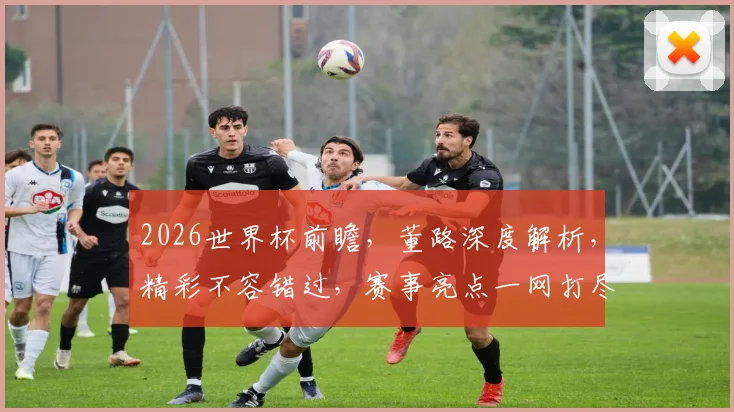 2026世界杯前瞻，董路深度解析，精彩不容错过，赛事亮点一网打尽