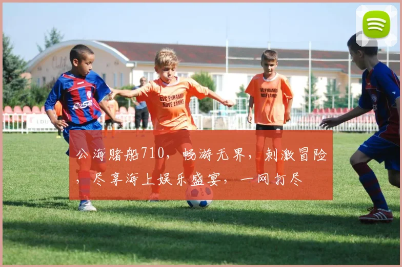 公海赌船710，畅游无界，刺激冒险，尽享海上娱乐盛宴，一网打尽