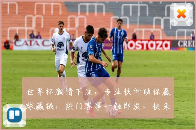 世界杯激情下注，专业软件助你赢球赢钱，热门赛事一触即发，快来体验