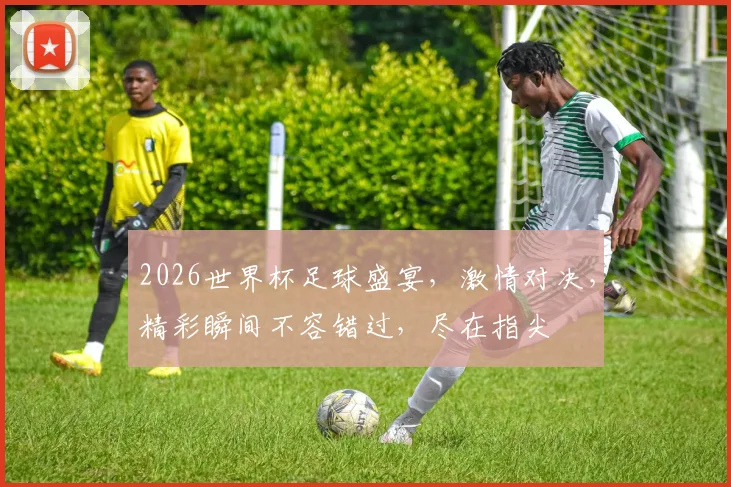 2026世界杯足球盛宴，激情对决，精彩瞬间不容错过，尽在指尖