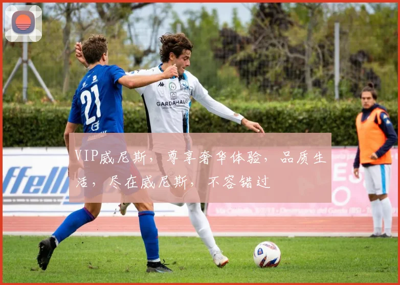 VIP威尼斯，尊享奢华体验，品质生活，尽在威尼斯，不容错过