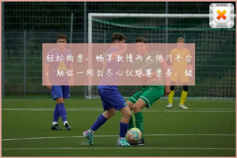 轻松购票，畅享激情两大热门平台，助你一网打尽心仪球赛票务，错过不再